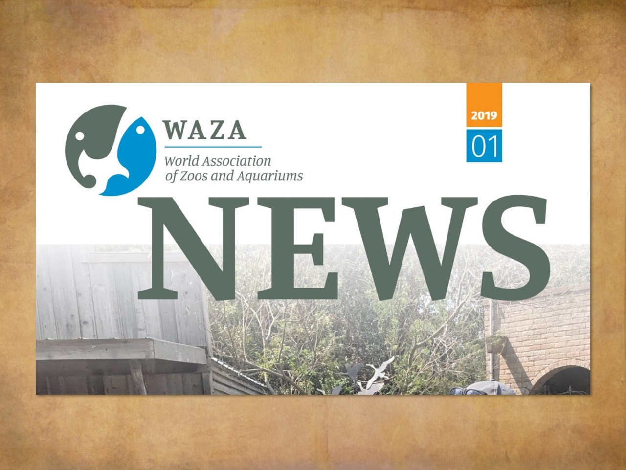 WAZA-News